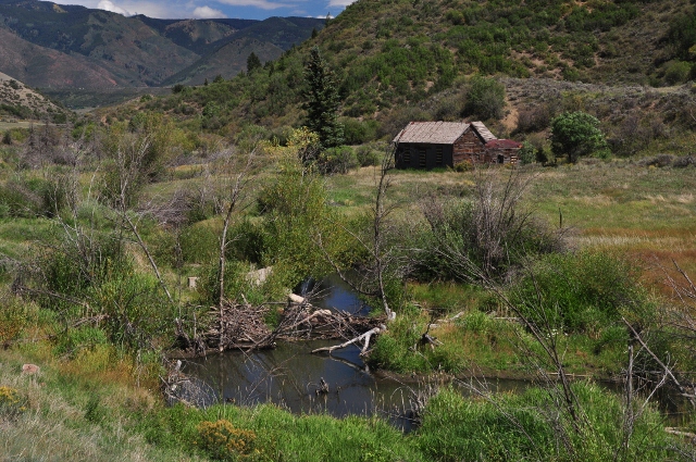 Brush Creek Trail